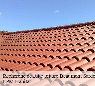 Recherche de fuite toiture  beaumont-sardolles-58270 LPM Habitat