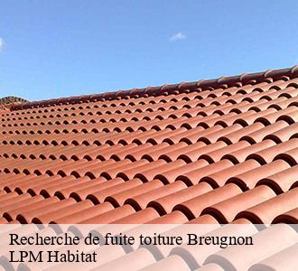 Recherche de fuite toiture  breugnon-58460 LPM Habitat