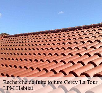 Recherche de fuite toiture  cercy-la-tour-58340 LPM Habitat