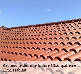 Recherche de fuite toiture  champallement-58420 LPM Habitat