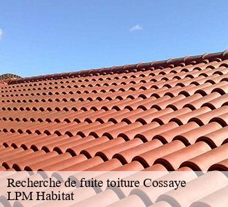 Recherche de fuite toiture  cossaye-58300 LPM Habitat