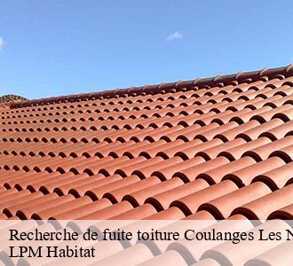 Recherche de fuite toiture  coulanges-les-nevers-58660 LPM Habitat