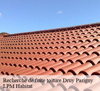 Recherche de fuite toiture  druy-parigny-58160 LPM Habitat