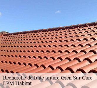 Recherche de fuite toiture  gien-sur-cure-58230 LPM Habitat