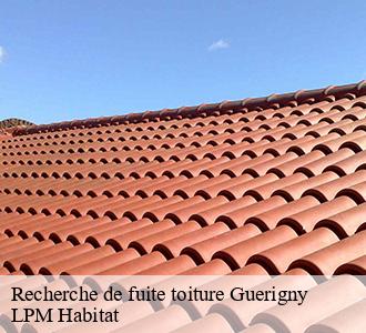 Recherche de fuite toiture  guerigny-58130 LPM Habitat