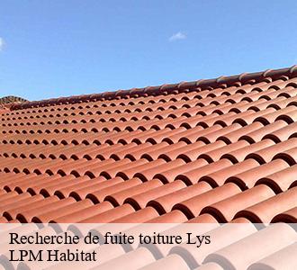 Recherche de fuite toiture  lys-58190 LPM Habitat