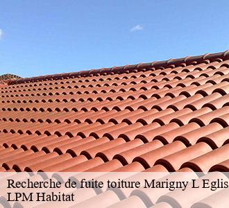 Recherche de fuite toiture  marigny-l-eglise-58140 LPM Habitat