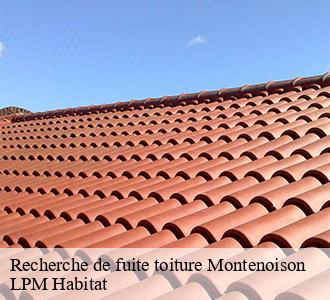 Recherche de fuite toiture  montenoison-58700 LPM Habitat