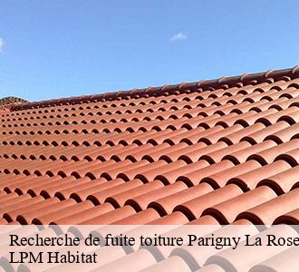 Recherche de fuite toiture  parigny-la-rose-58210 LPM Habitat