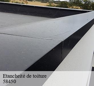 Etancheité de toiture  58450