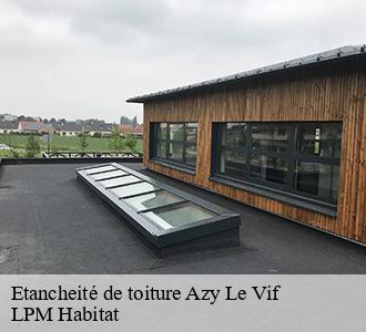 Etancheité de toiture  azy-le-vif-58240 LPM Habitat