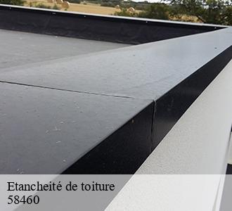 Etancheité de toiture  58460