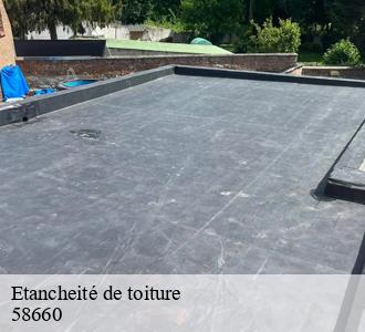 Etancheité de toiture  58660