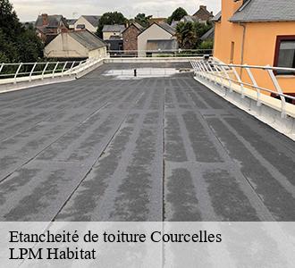 Etancheité de toiture  58210