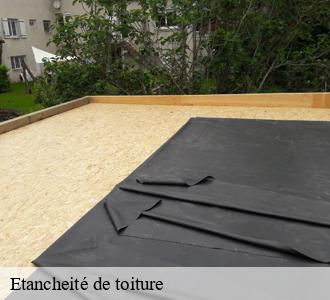 Etancheité de toiture