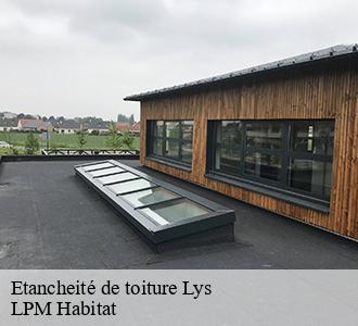 Etancheité de toiture  lys-58190 LPM Habitat