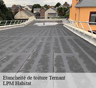 Etancheité de toiture  58250