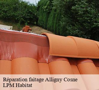 Réparation faitage  alligny-cosne-58200 LPM Habitat