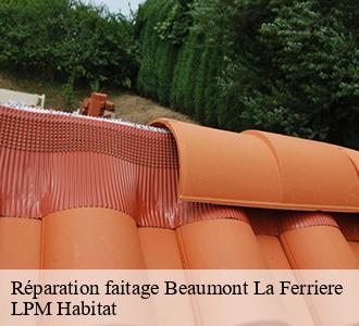 Réparation faitage  beaumont-la-ferriere-58700 LPM Habitat