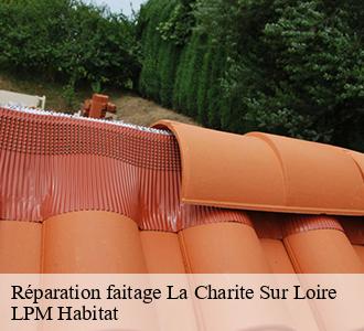 Réparation faitage  la-charite-sur-loire-58400 LPM Habitat