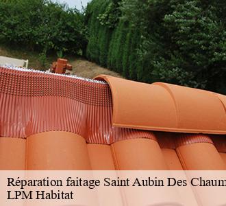 Réparation faitage  saint-aubin-des-chaumes-58190 LPM Habitat