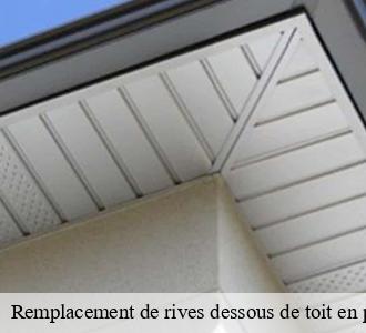 Remplacement de rives dessous de toit en pvc  58450