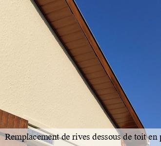 Remplacement de rives dessous de toit en pvc