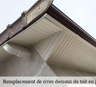 Remplacement de rives dessous de toit en pvc