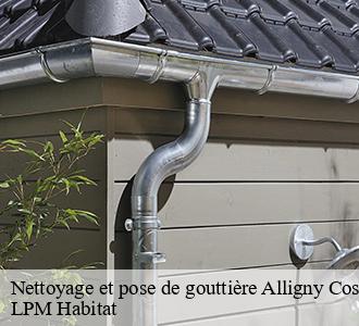 Nettoyage et pose de gouttière  58200