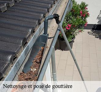 Nettoyage et pose de gouttière