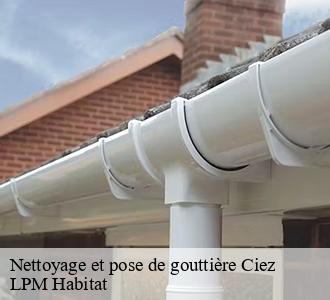 Nettoyage et pose de gouttière  ciez-58220 LPM Habitat