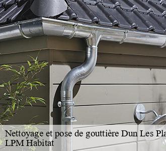 Nettoyage et pose de gouttière  58230