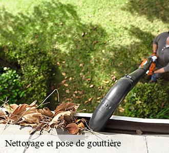 Nettoyage et pose de gouttière