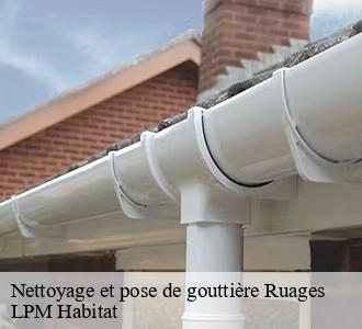 Nettoyage et pose de gouttière  ruages-58190 LPM Habitat