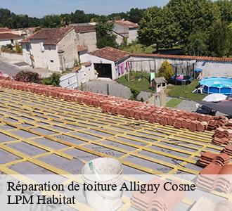 Réparation de toiture  alligny-cosne-58200 LPM Habitat