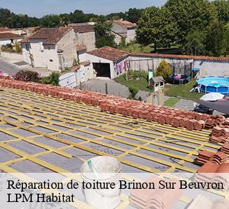 Réparation de toiture  brinon-sur-beuvron-58420 LPM Habitat