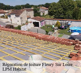 Réparation de toiture  fleury-sur-loire-58240 LPM Habitat