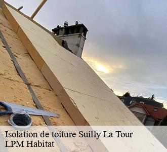 Isolation de toiture  suilly-la-tour-58150 LPM Habitat