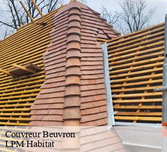 Couvreur  beuvron-58210 LPM Habitat