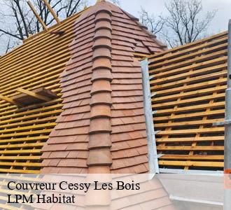 Couvreur  cessy-les-bois-58220 LPM Habitat