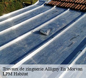 Travaux de zinguerie  58230