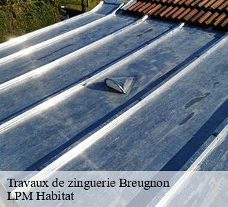 Travaux de zinguerie  58460