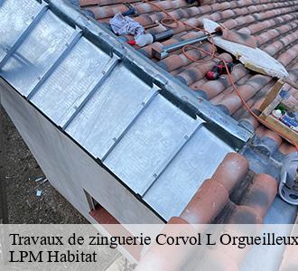 Travaux de zinguerie