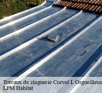 Travaux de zinguerie  58460