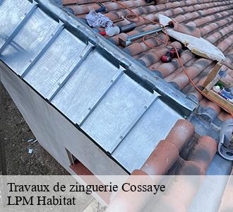 Travaux de zinguerie