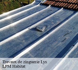 Travaux de zinguerie  58190