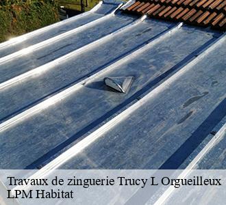 Travaux de zinguerie  58460